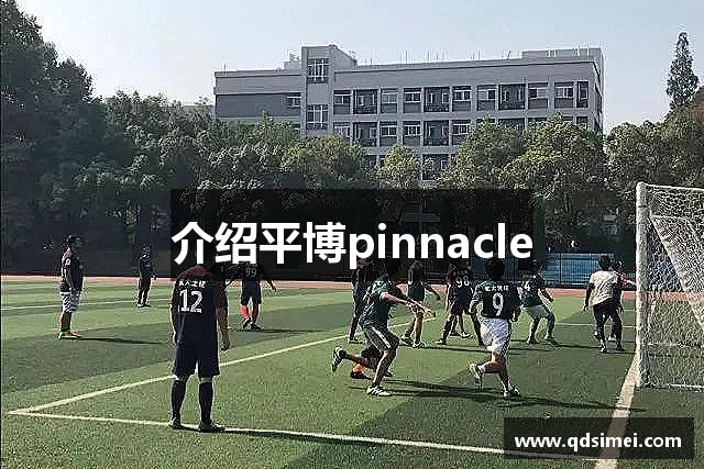 介绍平博pinnacle